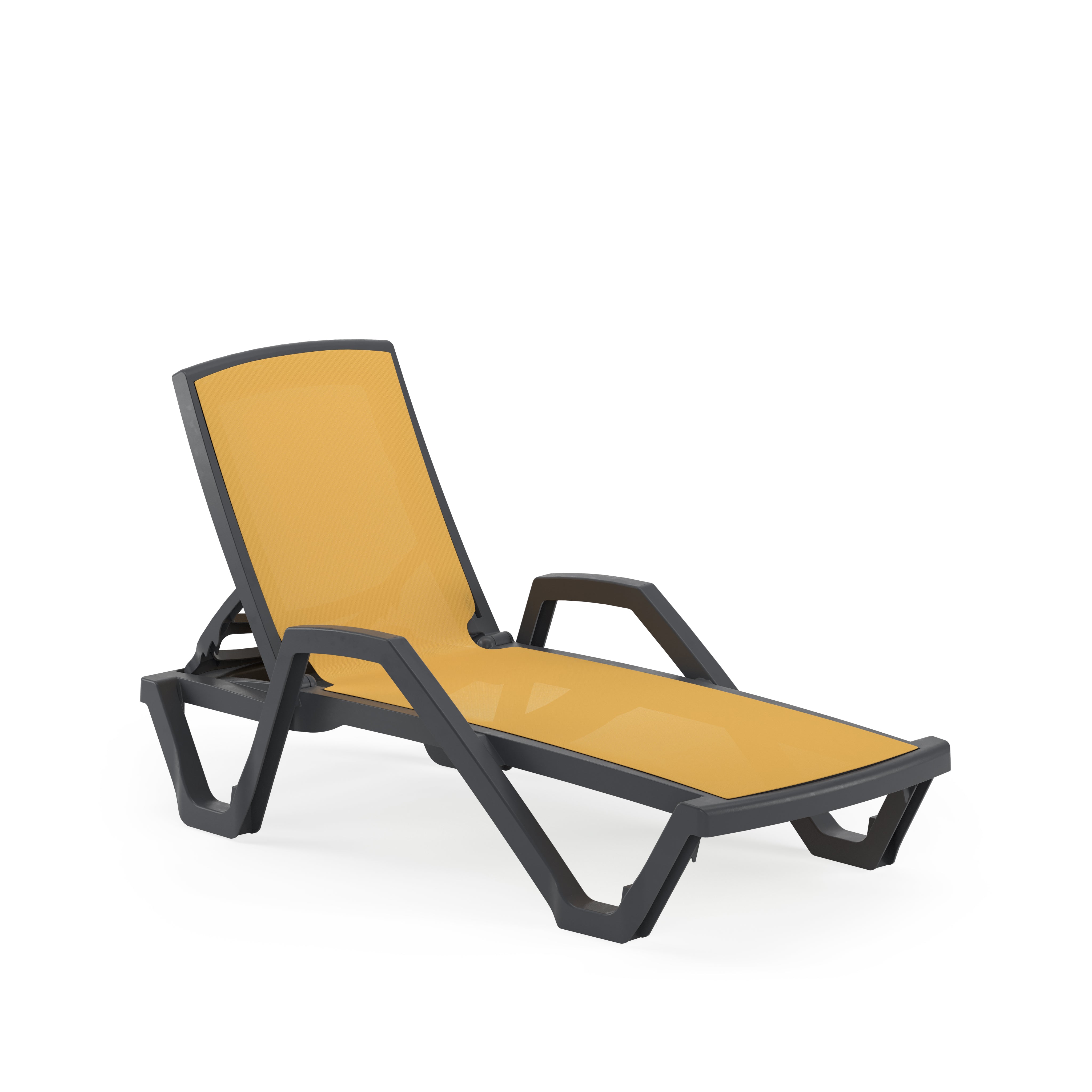 Mare Kollu Polipropilen Şezlong Antrasit Sarı